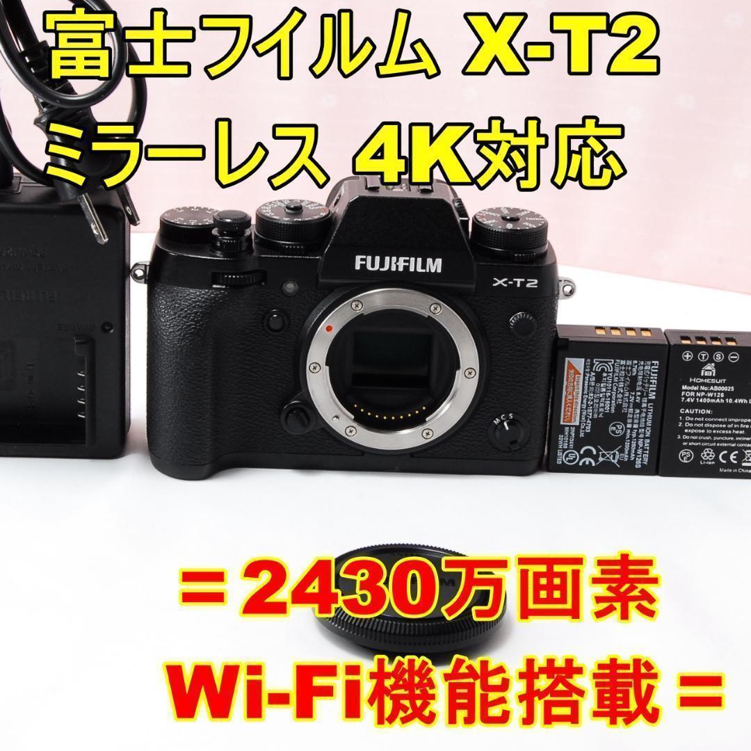Fujifilm Mirrorless Interchangeable Lens Cameras 3204 X-T2