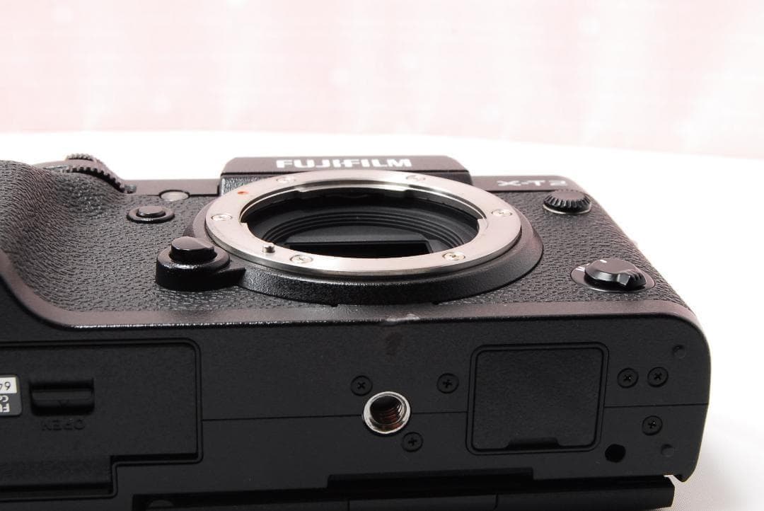 Fujifilm Mirrorless Interchangeable Lens Cameras 3204 X-T2