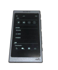 Sony Digital Audio Player Nw-45Hn