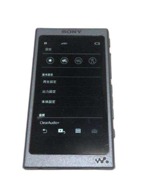 Sony Digital Audio Player Nw-45Hn