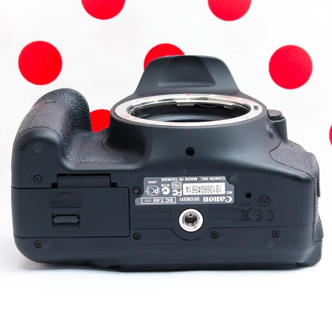 Canon Digital Slrs W Kiss X5