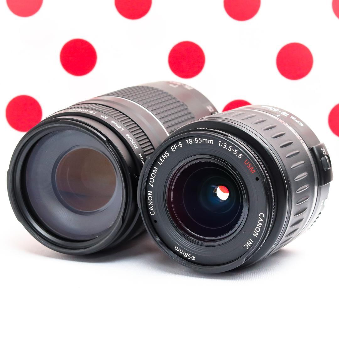 Canon Digital Slrs W Kiss X5