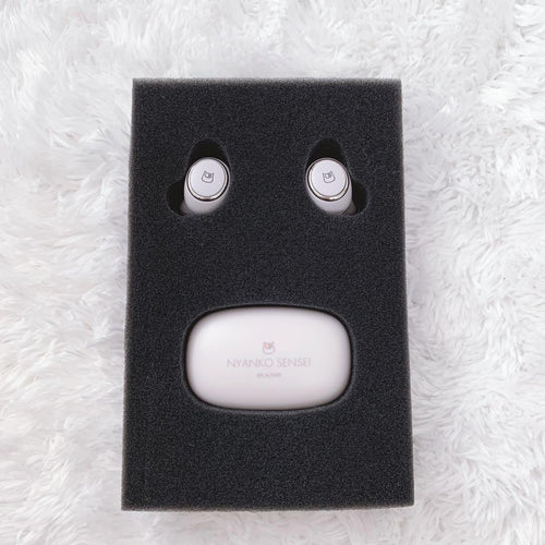 Onkyo Wireless Earphones Anima Aow01