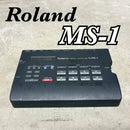 Sampler Roland Ms-1