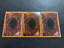 Yu -Gi -Oh! Ocg Duel Monsters I P Chim Pac Qcac Se 3