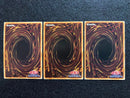 Yu -Gi -Oh! Ocg Duel Monsters I P Chim Pac Qcac Se 3