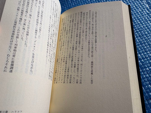 Literature Novel