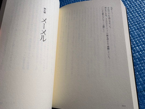 Literature Novel
