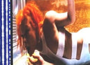 Photos