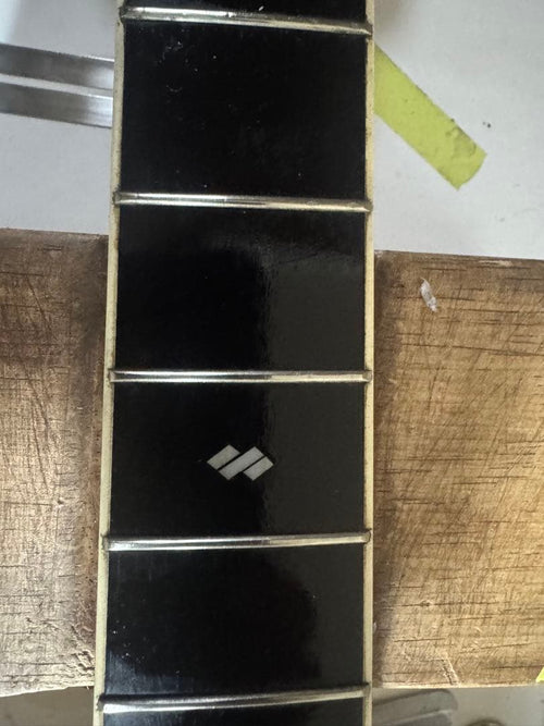 Yamaha Acoustic Guitars 1977 L5