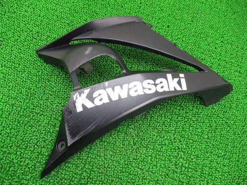 Kawasaki Cowl Fender Ninja1000 55028-0347 Zx1000G Genuine 39