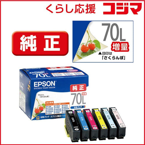 Epson Ink Cartridge/Refilled Ic6Cl70L