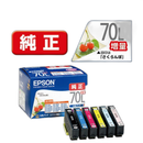 Epson Ink Cartridge/Refilled Ic6Cl70L