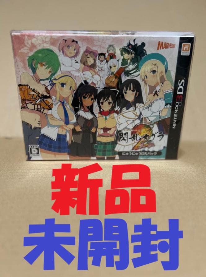 Software (Package Version) 2 Dx 3Ds