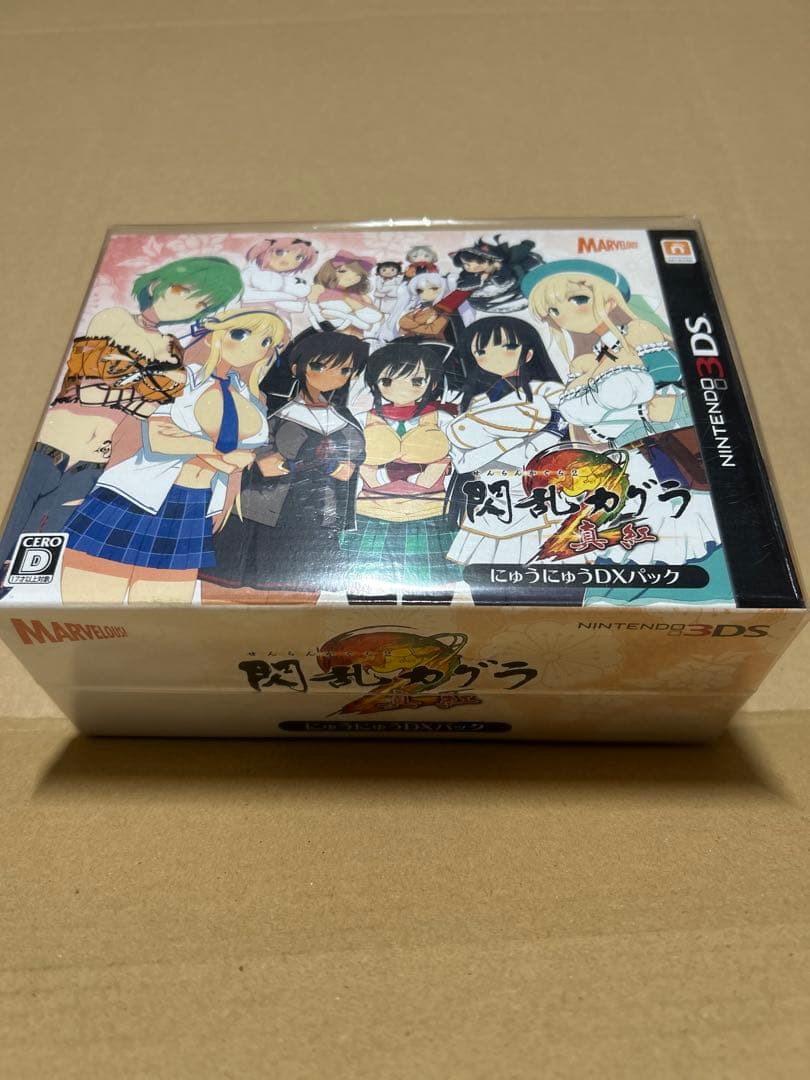 Software (Package Version) 2 Dx 3Ds