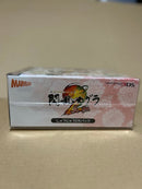 Software (Package Version) 2 Dx 3Ds