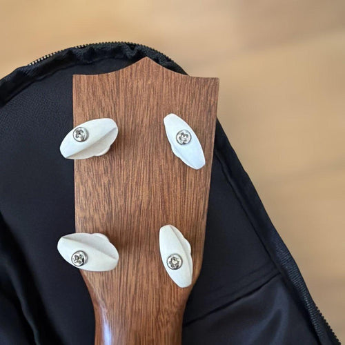 Famous Ukuleles