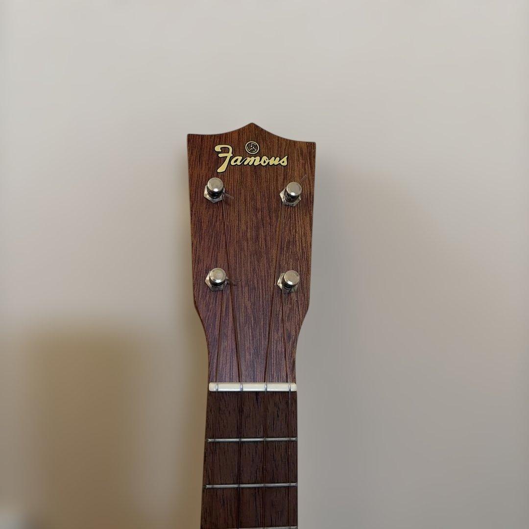 Famous Ukuleles
