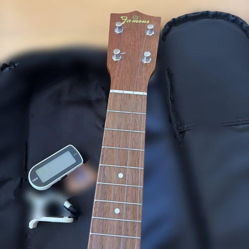 Famous Ukuleles