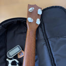 Famous Ukuleles