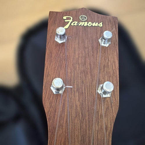 Famous Ukuleles