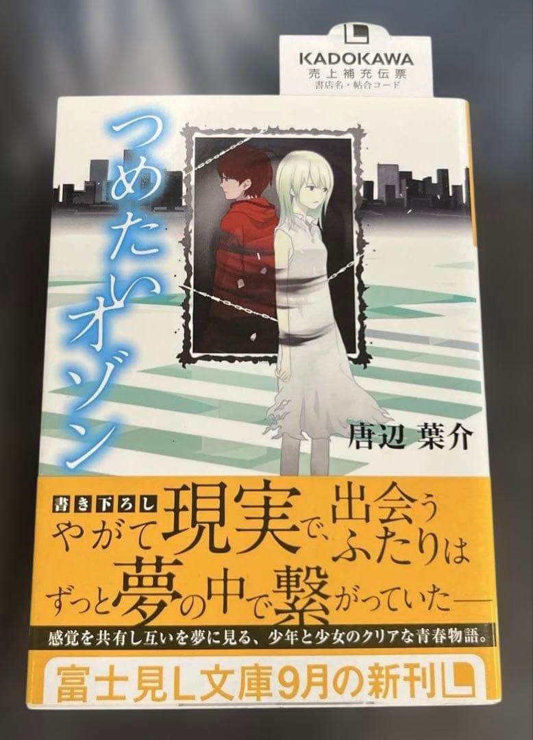 Literature Novel