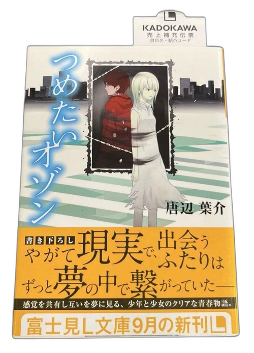 Literature Novel