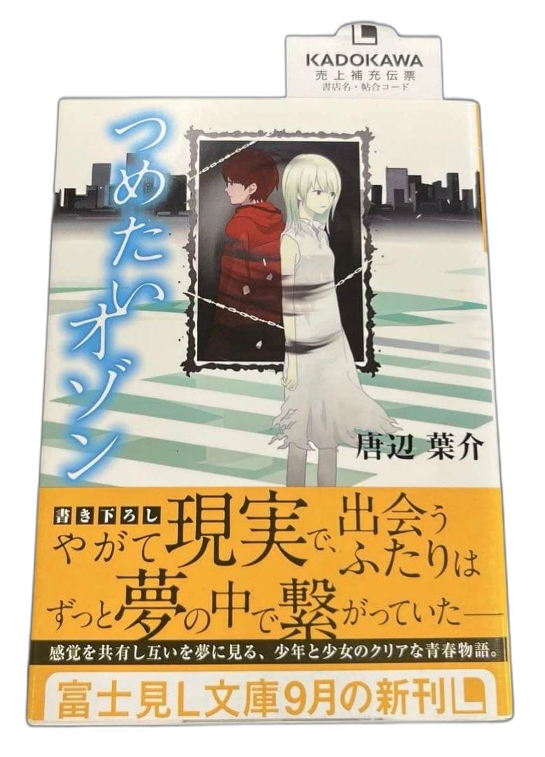 Literature Novel