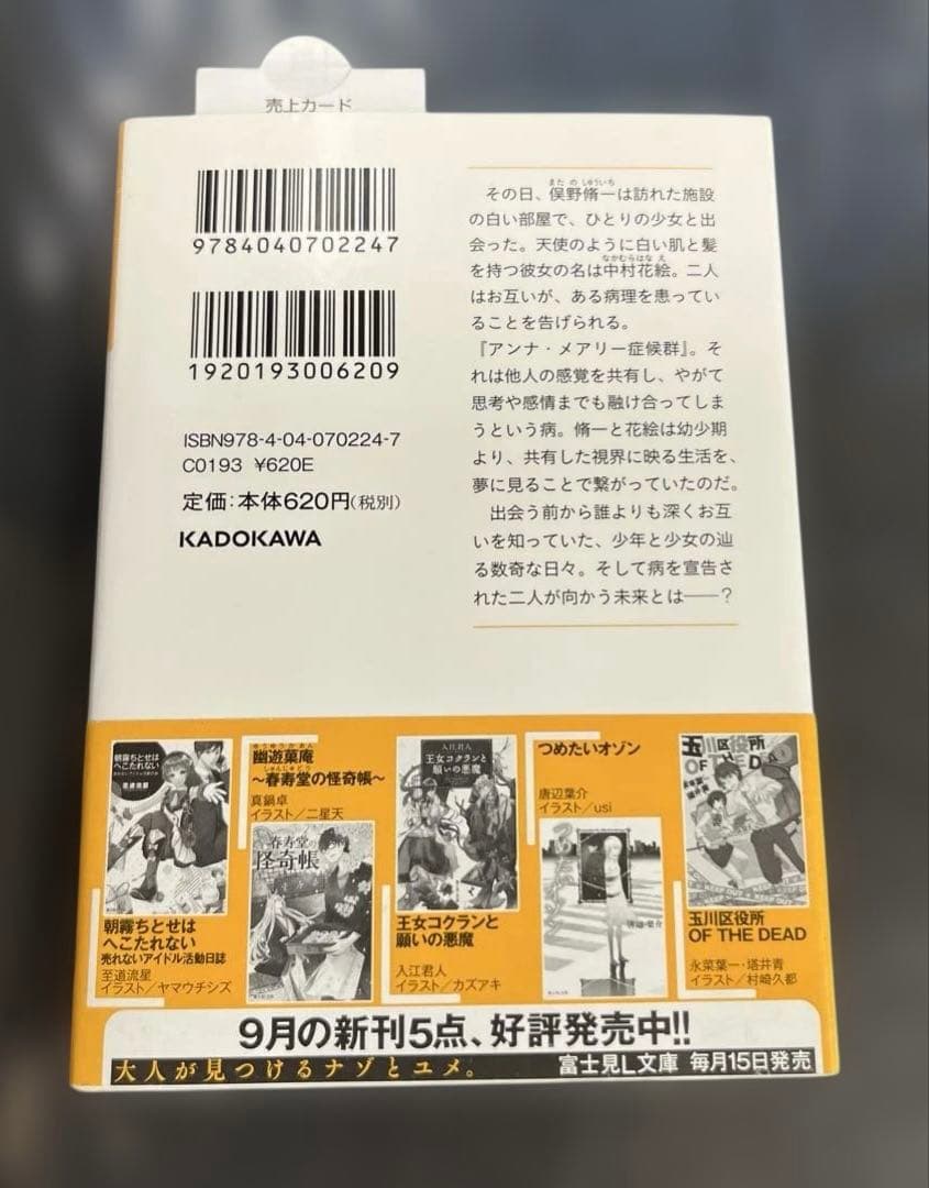 Literature Novel