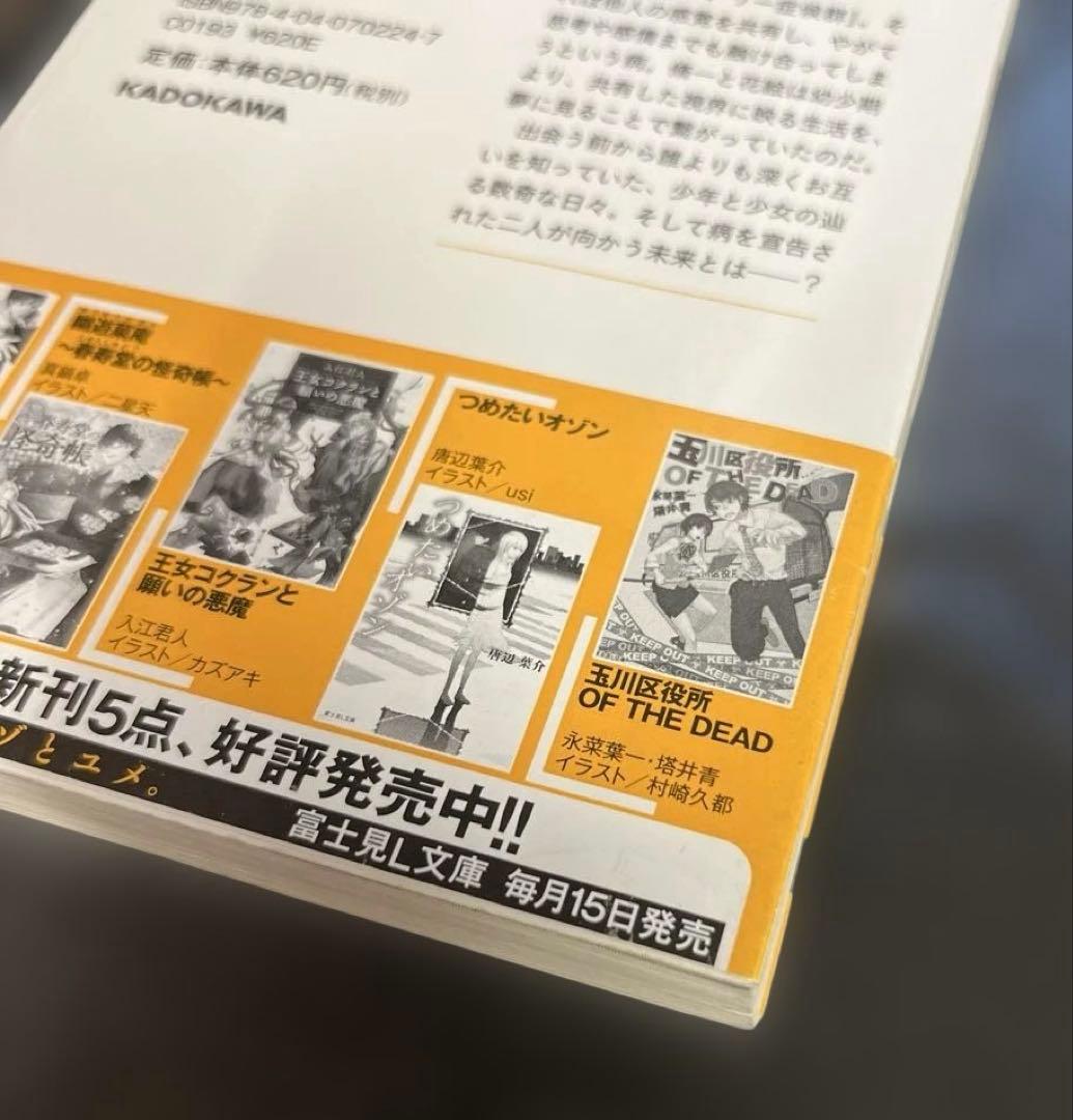 Literature Novel