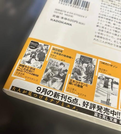 Literature Novel
