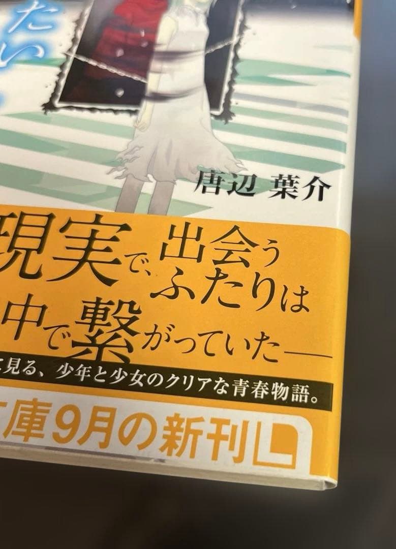 Literature Novel