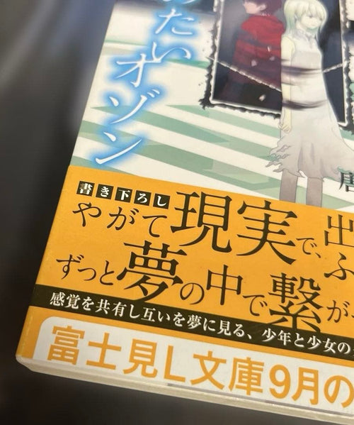 Literature Novel