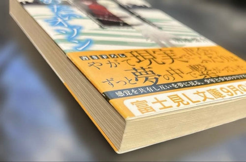 Literature Novel