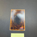 Yu-Gi-Oh! Ocg Duel Monsters (Japanese)