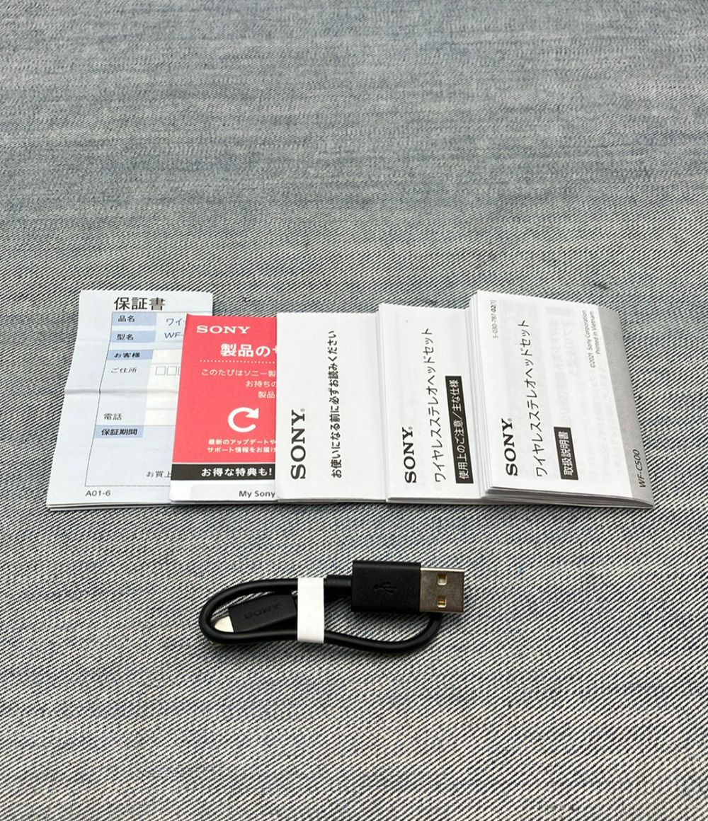 Sony Others Yy2952 Wf-C500