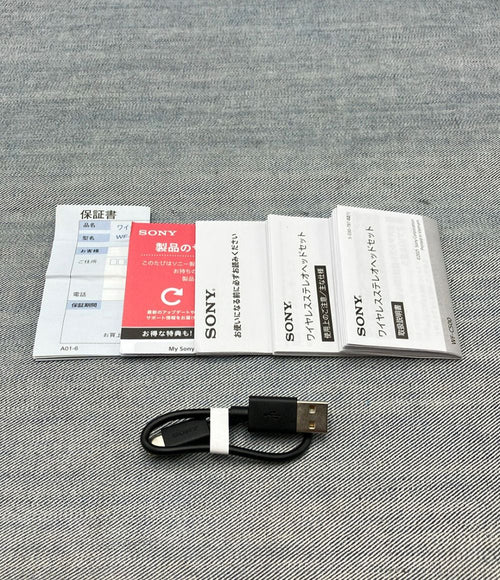Sony Others Yy2952 Wf-C500