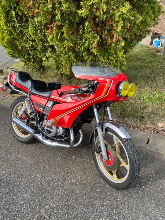 Suzuki Motorcycle Frames Rg250E