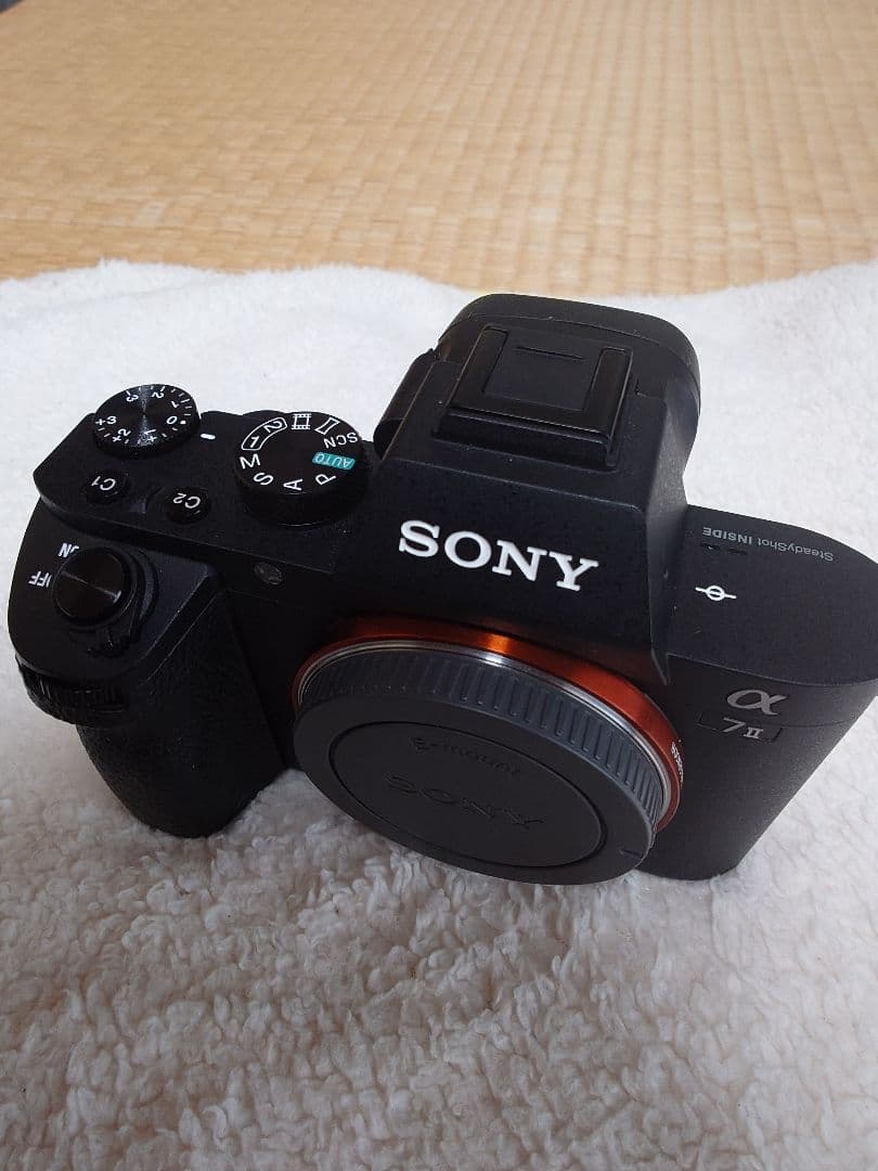 Sony Mirrorless Interchangeable Lips 7 Ii Ilce-7M2K