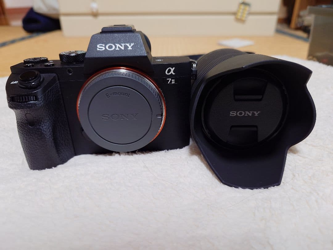 Sony Mirrorless Interchangeable Lips 7 Ii Ilce-7M2K