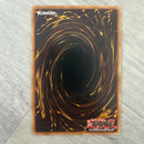 Yu-Gi-Oh! Ocg Duel Monsters (Foreign Languages) Ct