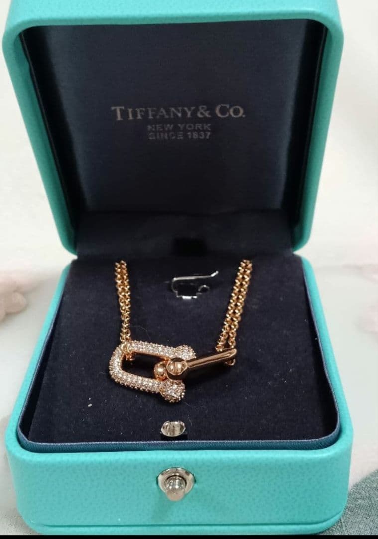 Tiffany Necklaces Rg