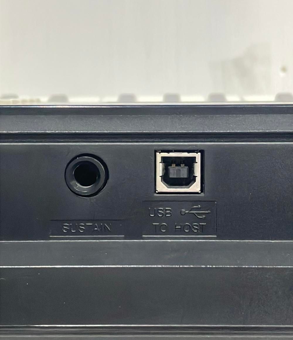 Yamaha Others Psr-E244