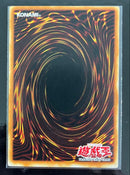 Yu-Gi-Oh! Ocg Duel Monsters (Foreign Languages) Mfc-052 Xyz