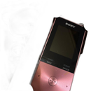 Sony Digital Audio Player
