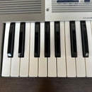 Korg Analog Synthesizers Sas-20