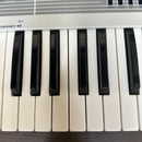 Korg Analog Synthesizers Sas-20