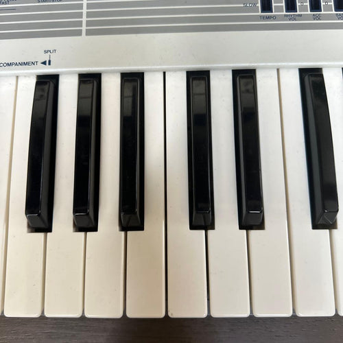 Korg Analog Synthesizers Sas-20