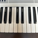 Korg Analog Synthesizers Sas-20