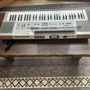 Korg Analog Synthesizers Sas-20